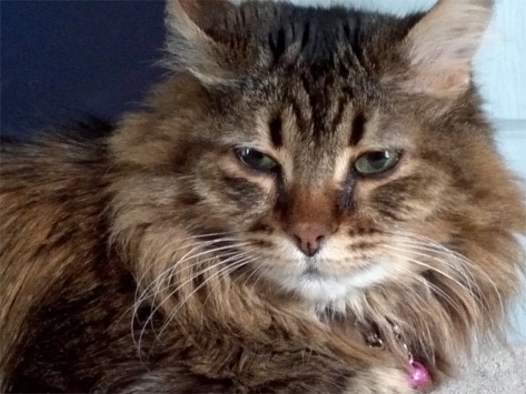 The Russian Princess